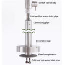 stainless steel outdoor swimming pool hot and cold dual control floor standing shower faucet set hw2502