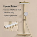 household bathroom hot and cold button shelf all copper can be raised and lowered multifunctional rain shower sprinkler set lm2536