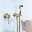 toilet companion spray gun faucet toilet nozzle in wall flusher household pressurized women's washer pq1001