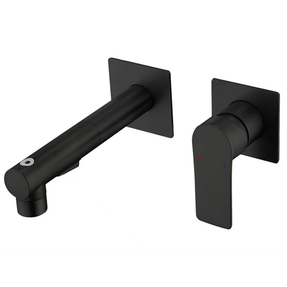 Type B black