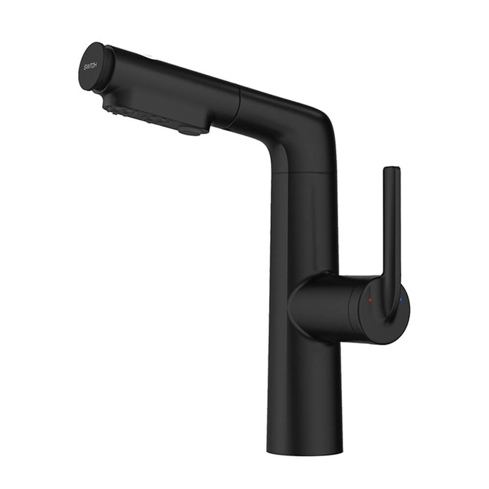 matte black outdoor shower hardware detail
