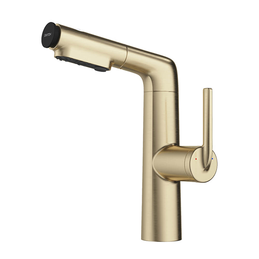 Stainless steel outdoor shower head with brushed gold finish mounted on wooden fence
